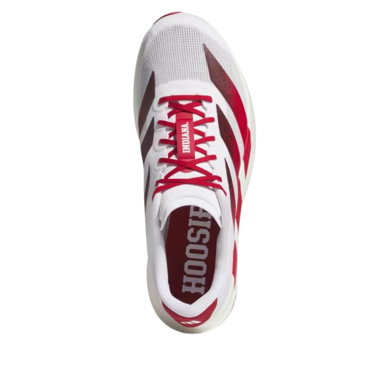 adidas x NCAA x Adizero Evo SL